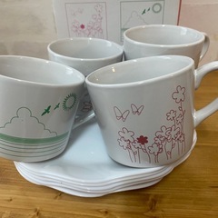 マグカップ4点・白ディッシュ皿5点の画像