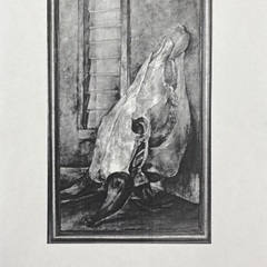 美大・美術科高校受験に向けたデッサン指導の画像