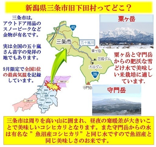 春のキャンペーン　令和7年産　減農薬　新潟コシヒカリ玄米15kg+ミルキークイーン玄米15kg 新潟県三条市旧しただ村産　1等米 新潟県認証　特別栽培米こしひかり100%+ミルキークイーン100% グルテンフリー