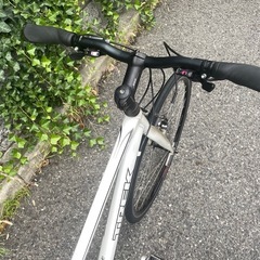 🔵中古車🔵 TREK　7.3FX　155㎝～170㎝　SHIMANO/24speed　クロスバイク　中古自転車　点検調整永久無料✨　整備済み　西宮市の画像