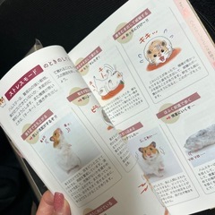 ハムスター飼育本の画像