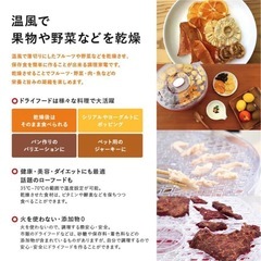 ヘルシーフードドライヤーの画像
