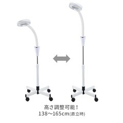 拡大鏡、照明の画像