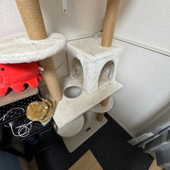 お話中Mwpo 日本製　透明宇宙船  突っ張りタイプ キャットタワーの画像