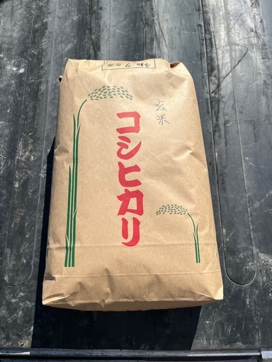 令和７年産新米コシヒカリ玄米10キロ