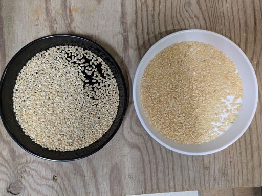 令和7年　奈良県産　ヒノヒカリ　玄米　30kg