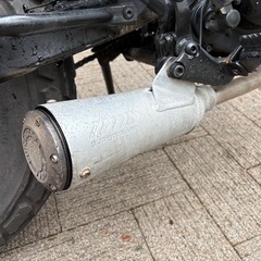 YAMAHA TW200の画像