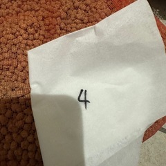 （お話し中）ろ材　3の画像