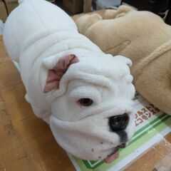 永谷園　リアールちゃんの画像