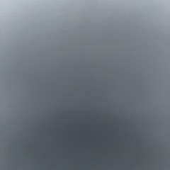 ガステリア　子宝の画像