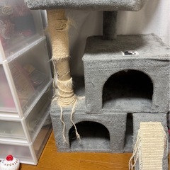 キャットタワーの画像