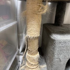 キャットタワーの画像
