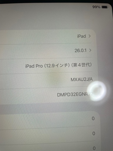 iPad pro12.9インチ　256KBシルバー   　　