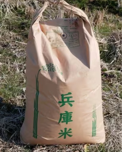 新　