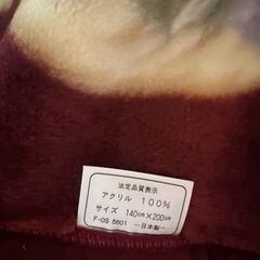 【決まりました】毛布　２枚セット使用期間１ヶ月の画像