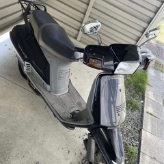 軽整備済み ヤマハ シグナス125cc 50v の画像
