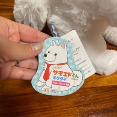 ぬいぐるみセットの画像