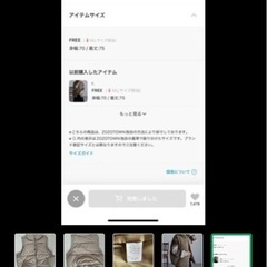 ファイバーフェイクダウンベストの画像