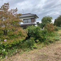 上田市前山　剪定した枝木丸太　薪用などにどうぞ　早い者勝ちの画像
