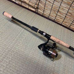サゴシや太刀魚やエギ　万能釣具セットの画像
