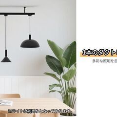 未使用　ダクトレール 1500mm ブラック　電球別売りの画像