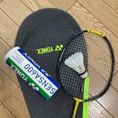 柏市でバドミントンやりましょう