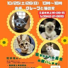 保護猫譲渡会10月25(土)26日(日)