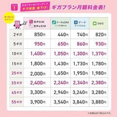 【初期費用3,300円が無料 ※1契約者1回線/年に限り】IIJmioえらべるSIMカード エントリーパッケージ 月額利用(音声SIM/SMS)[ドコモ・au回線]・(データ/eSIM/プリペイド)[ドコモ回線]IM-B327の画像