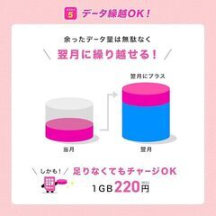 【初期費用3,300円が無料 ※1契約者1回線/年に限り】IIJmioえらべるSIMカード エントリーパッケージ 月額利用(音声SIM/SMS)[ドコモ・au回線]・(データ/eSIM/プリペイド)[ドコモ回線]IM-B327の画像