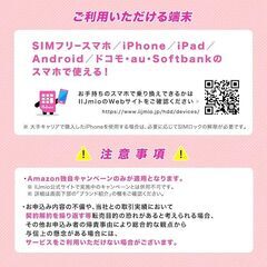 【初期費用3,300円が無料 ※1契約者1回線/年に限り】IIJmioえらべるSIMカード エントリーパッケージ 月額利用(音声SIM/SMS)[ドコモ・au回線]・(データ/eSIM/プリペイド)[ドコモ回線]IM-B327の画像