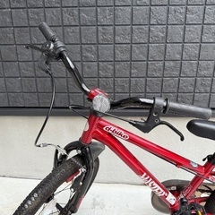 D-bike master+ 18インチの画像
