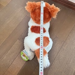 デコピン？ぬいぐるみの画像