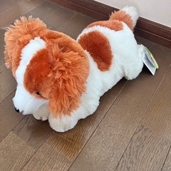 デコピン？ぬいぐるみの画像