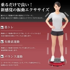 ☆ ブルブル振動マシーンの画像