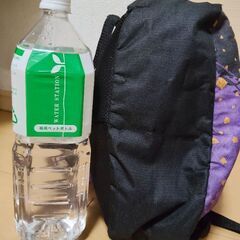 鬼滅の刃 胡蝶しのぶ柄 リュックの画像