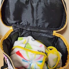 鬼滅の刃 胡蝶しのぶ柄 リュックの画像