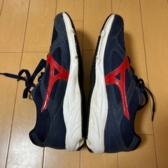 運動靴（菊池農業高校用）の画像