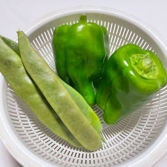 🤎ブレンディ エスプレッソ•オレ30本🤎ココア•オレ6本💚わが家の野菜の画像