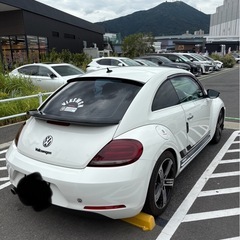 ザビートルの画像