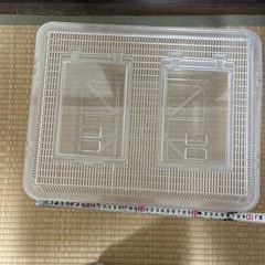 透明　虫かご　飼育カゴ　ペット用　　の画像
