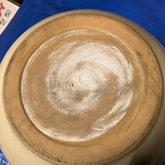 水甕　ビオトープの画像
