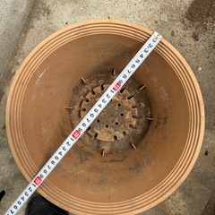 プランター3個又以上（2個土入り）の画像