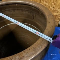 大水甕　ビオトープの画像
