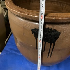 大水甕　ビオトープの画像