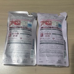 アンドプリズム　シャントリ2セットの画像