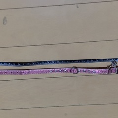 【断捨離中】ペット　犬用首輪　差し上げますの画像