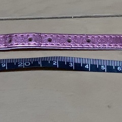 【断捨離中】ペット　犬用首輪　差し上げますの画像