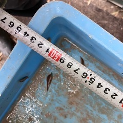 プラスチック箱の画像