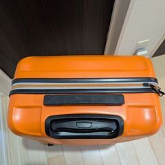 キャリーバッグの画像