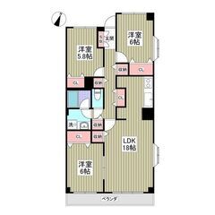 EO✨初期費用分割相談可能✨初月賃料無料、敷金ゼロ、礼金ゼ…